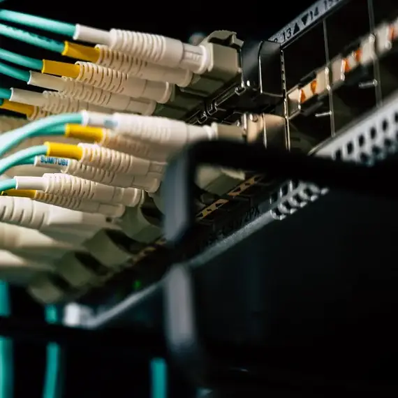 Fibre optic patch leads plugged into a network switch