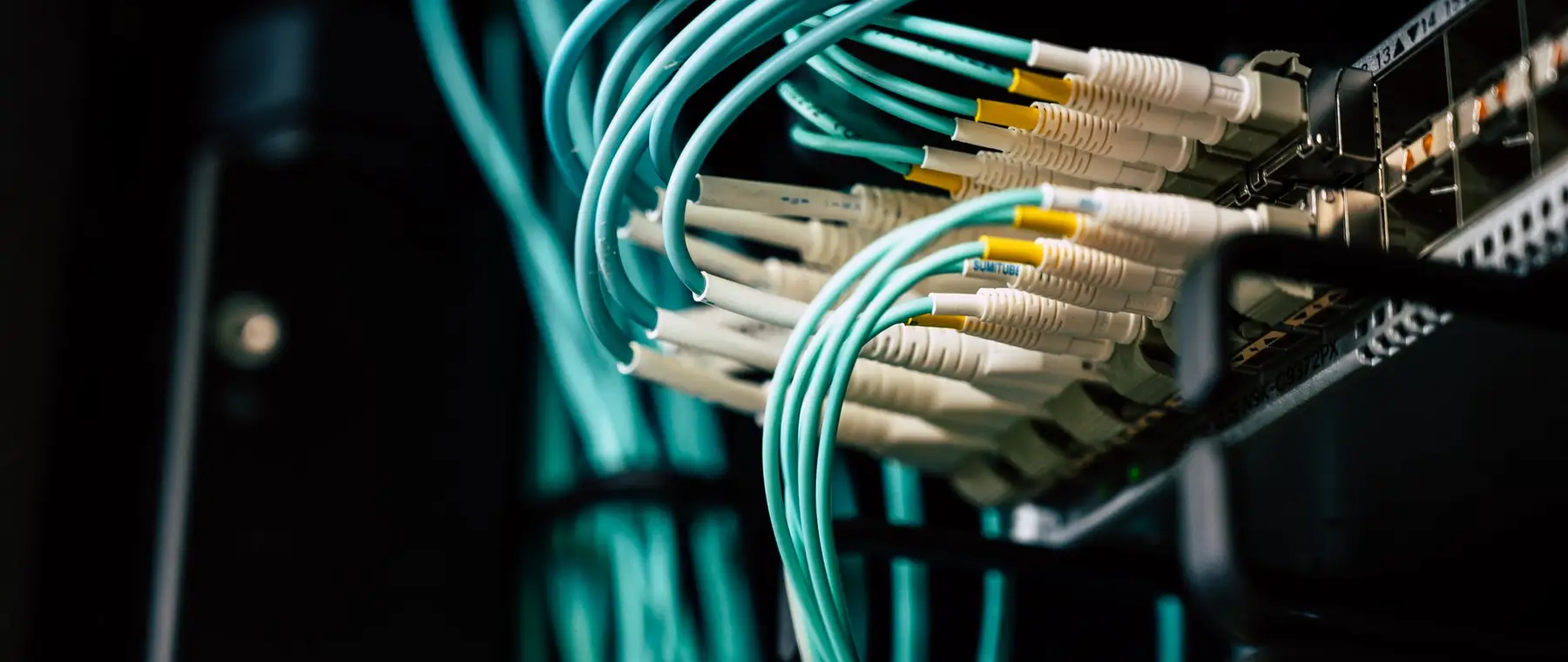 Fibre optic patch cables connected into rack equipment